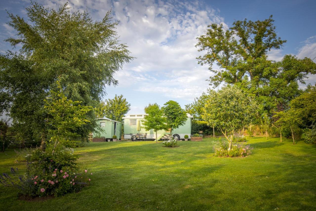West Cottage, Southlands Farm, Gunnerton Χέξαμ Εξωτερικό φωτογραφία